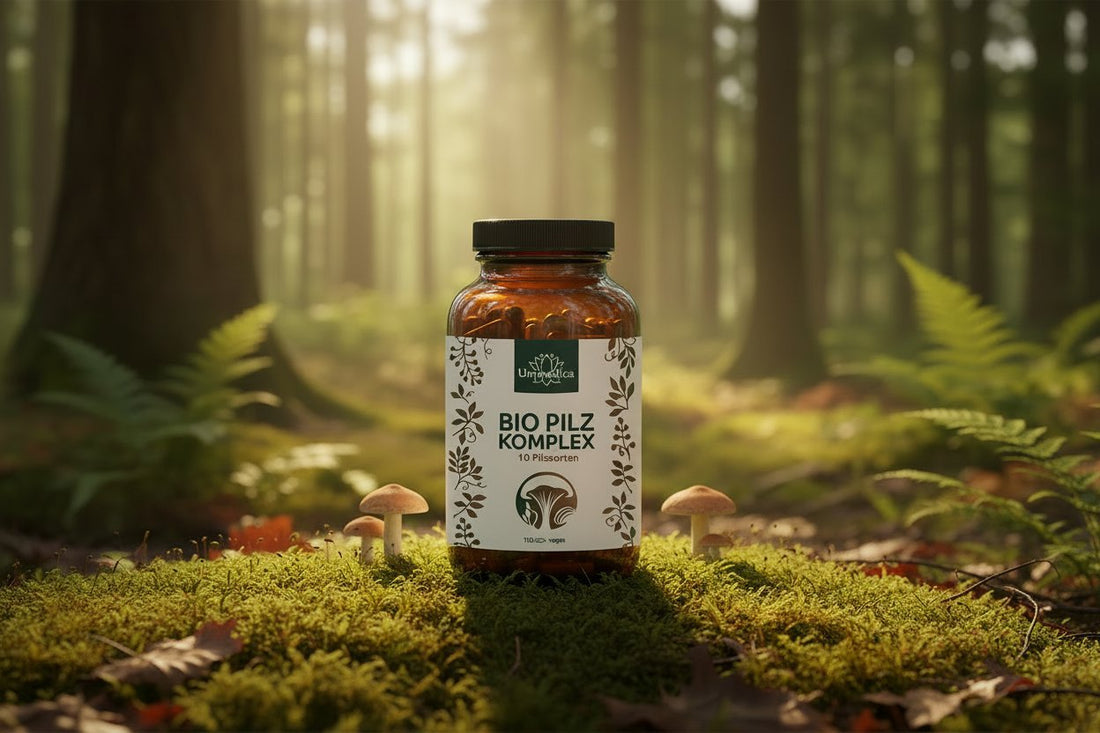 Bio Pilz Komplex - 10 Vitalpilze mit Cordyceps, Reishi, Hericium - 180 Kapseln - NahrungsergänzungUnimedica Kornkammer Natur