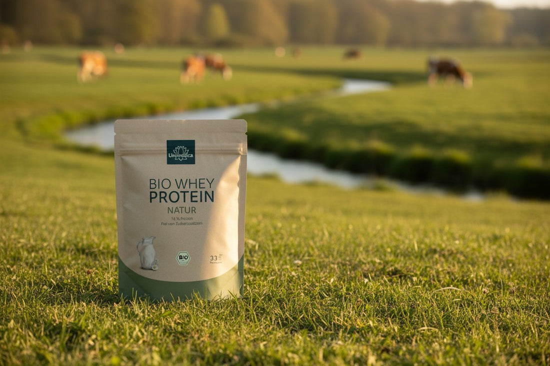 Bio Whey Protein - Natur - 76 % Protein - 1 kg - NahrungsergänzungUnimedica Kornkammer Natur