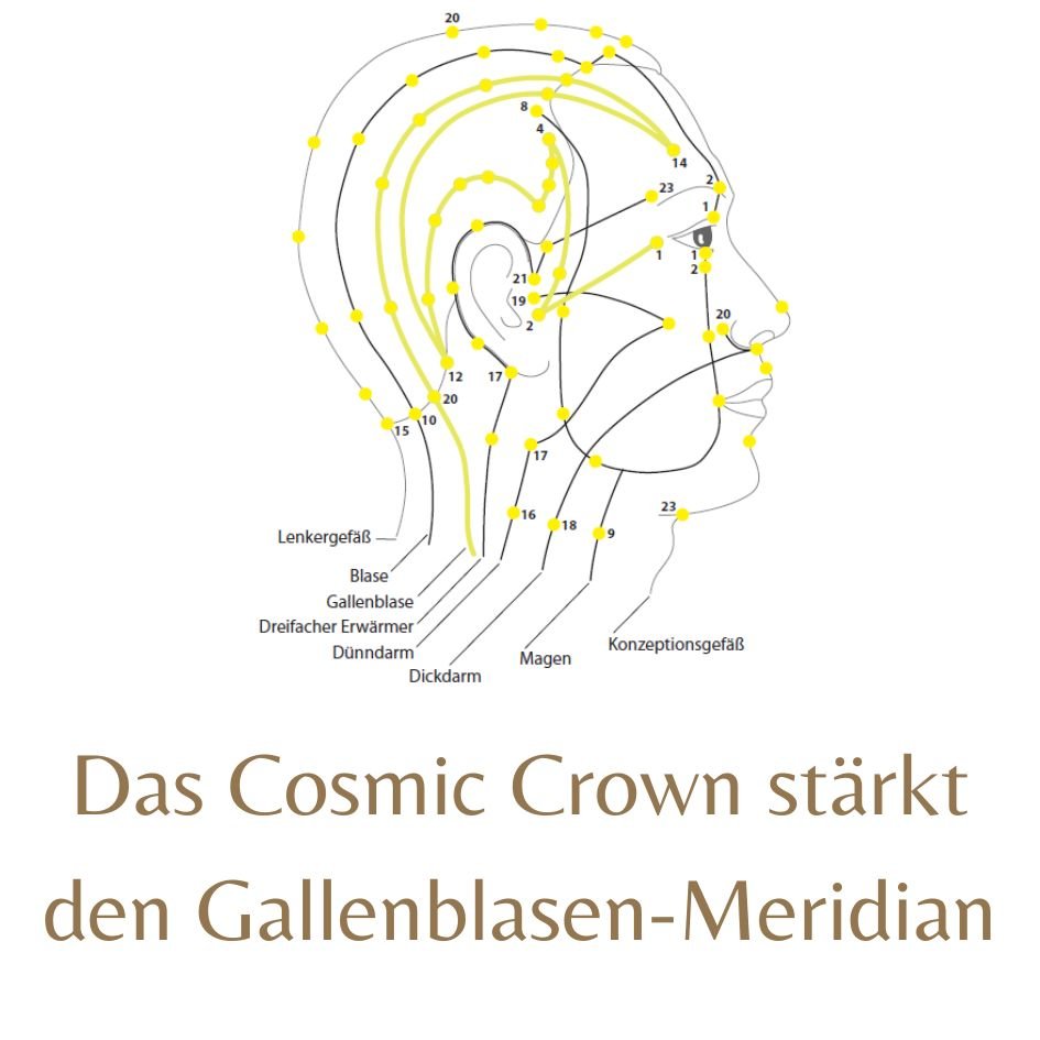 Delphinset 1 für den Kopf (Happy Hair und Cosmic Crown je 100ml) - ShampooYogana Kornkammer Natur