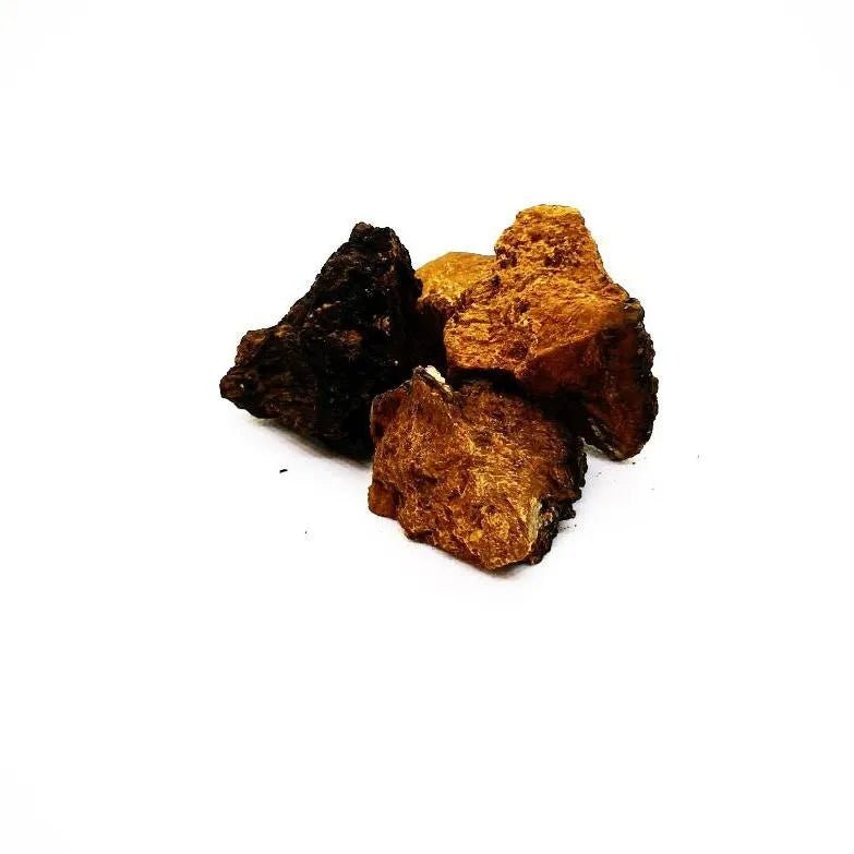 Bio Pilz Chaga Nahrungsergänzung Kornkammer Natur