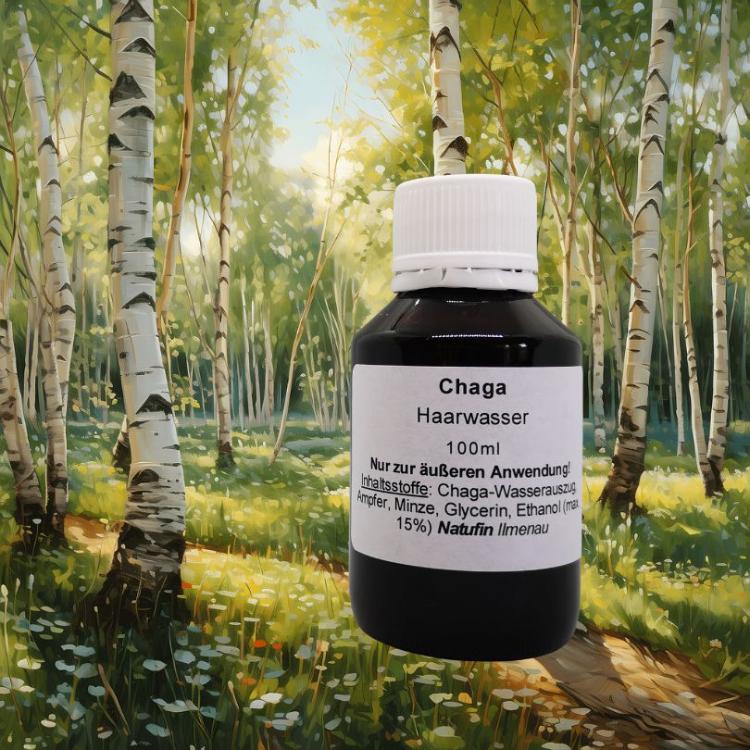 Chaga Haarwasser - HaarprodukteNatufin Kornkammer Natur