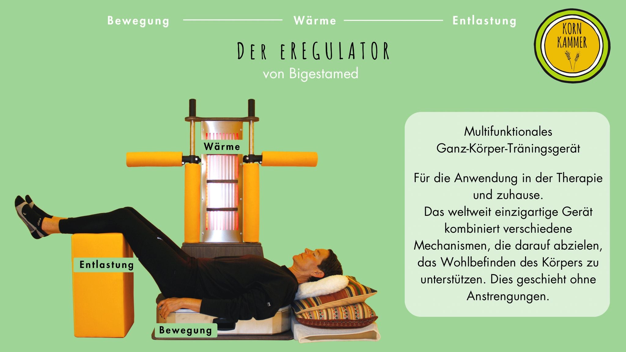 eRegulator Home Schwingungsplatte Allrounder mit Infrarot - Wohlfühlen bigestaMED Kornkammer Natur