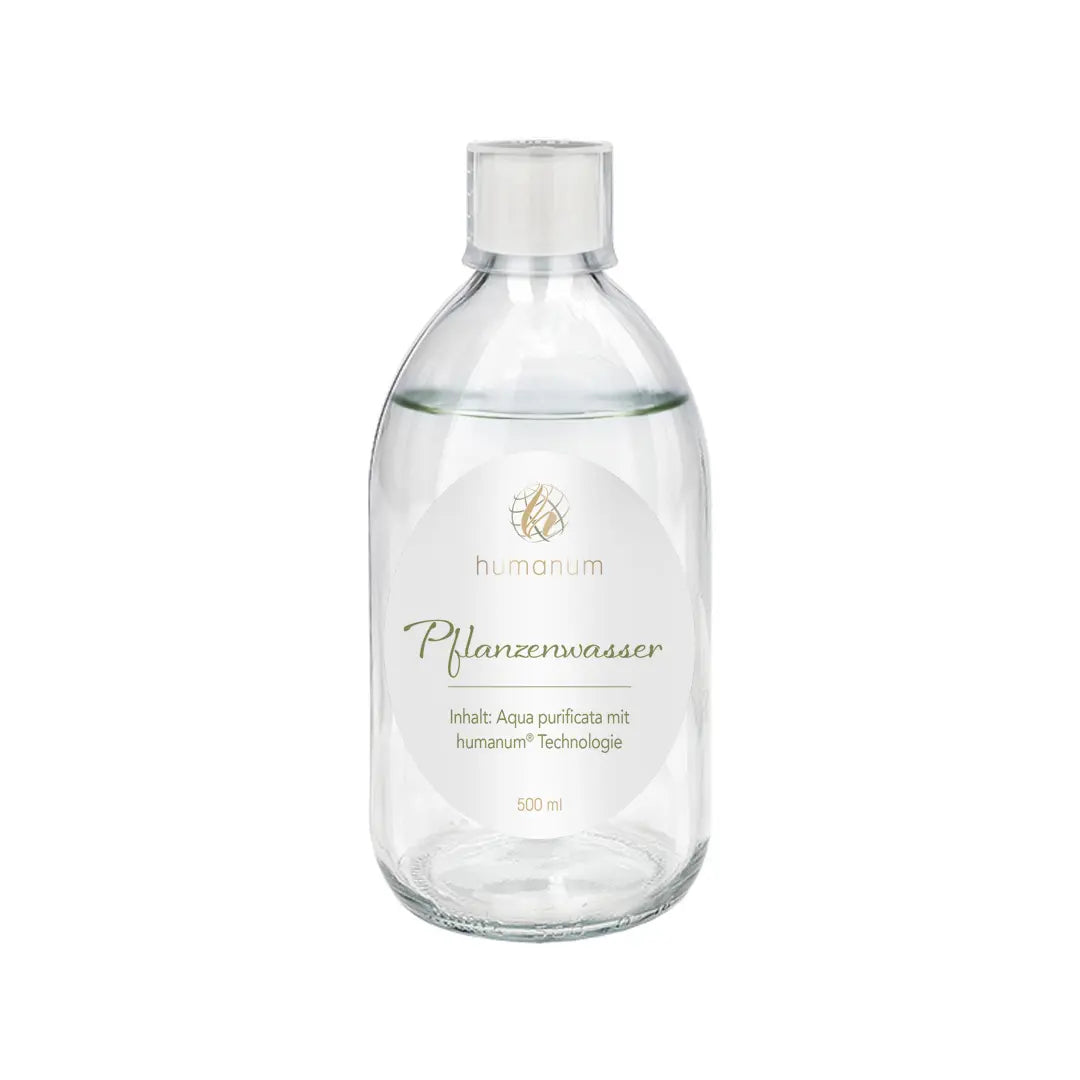 Pflanzenwasser 500 ml von humanum zur Pflanzenpflege Kornkammer Natur