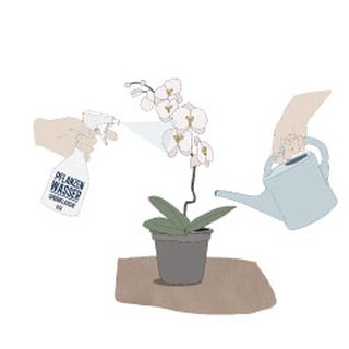 Pflanzenwasser (humanum) Pflanzen und Tiere Wasser Urprinzip Pflanzen Haus Humanum Kornkammer Natur Produkt