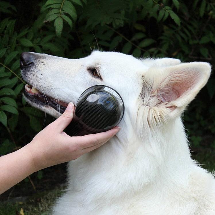 AIRNERGY+Vitalisator: Stream - Wohlfühlen - AIRNERGY Kornkammer Natur Tiere