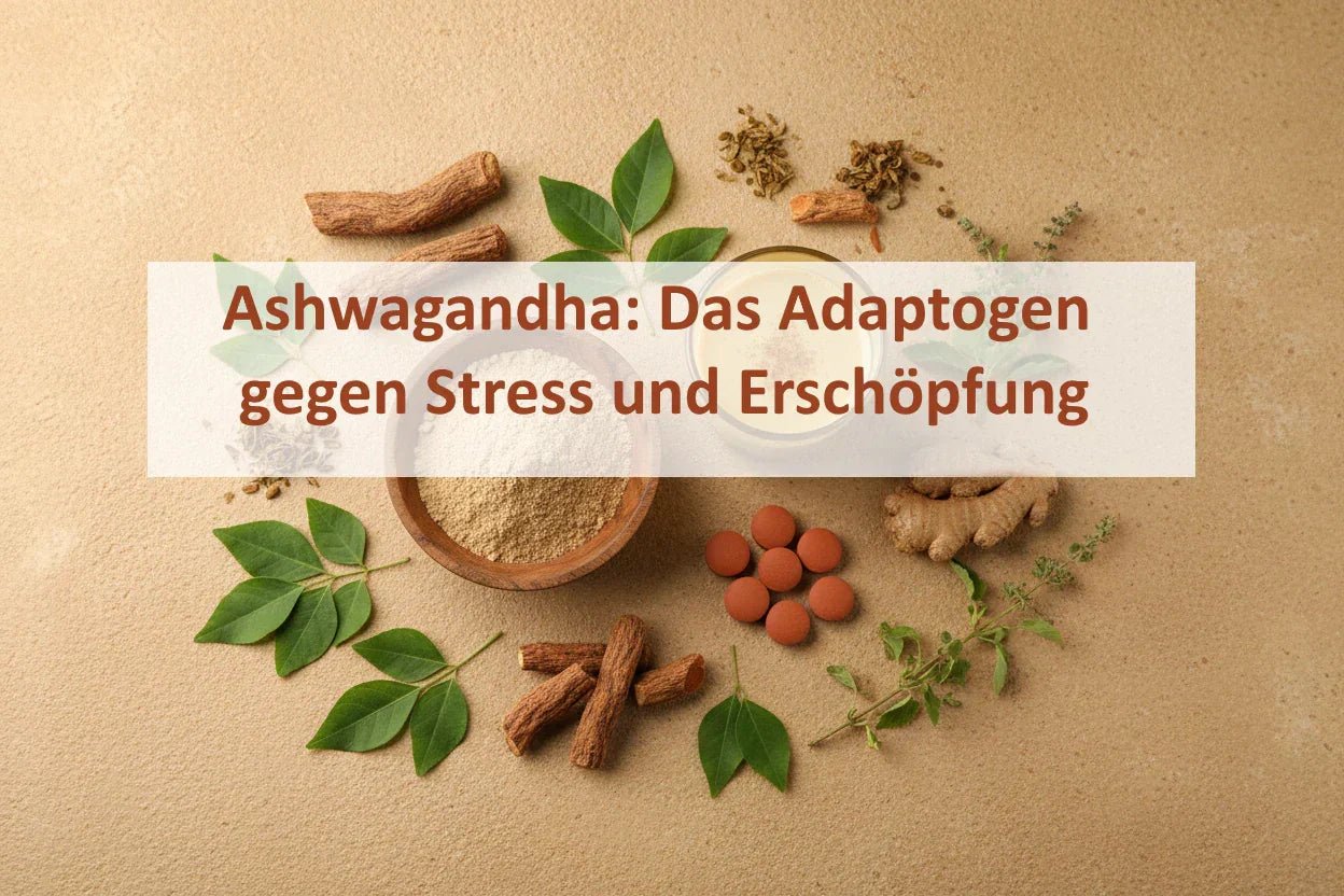Ashwagandha: Das Adaptogen gegen Stress und Erschöpfung - Kornkammer Natur