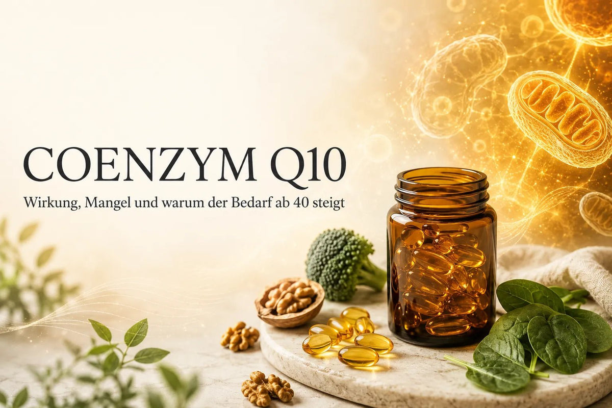 Coenzym Q10: Wirkung, Mangel und warum der Bedarf ab 40 steigt