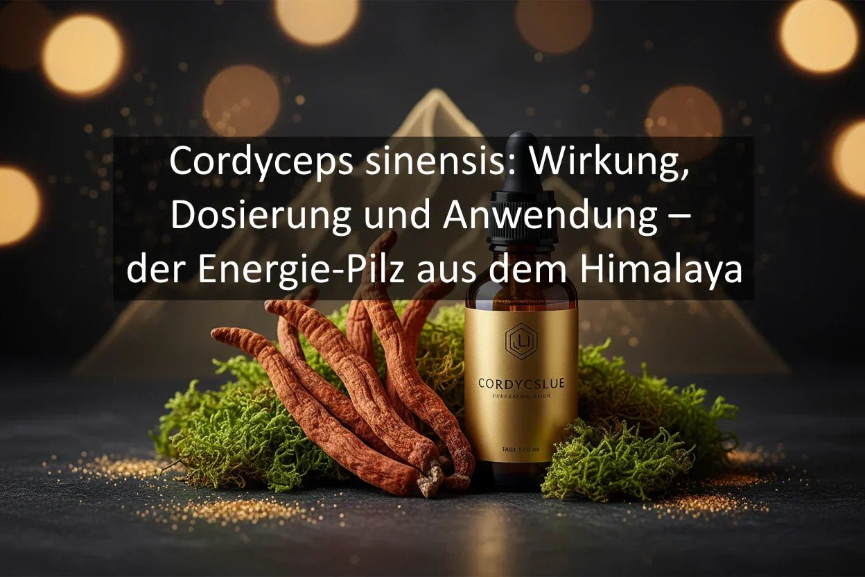 Cordyceps sinensis: Wirkung, Dosierung und Anwendung – der Energie-Pilz aus dem Himalaya - Kornkammer Natur
