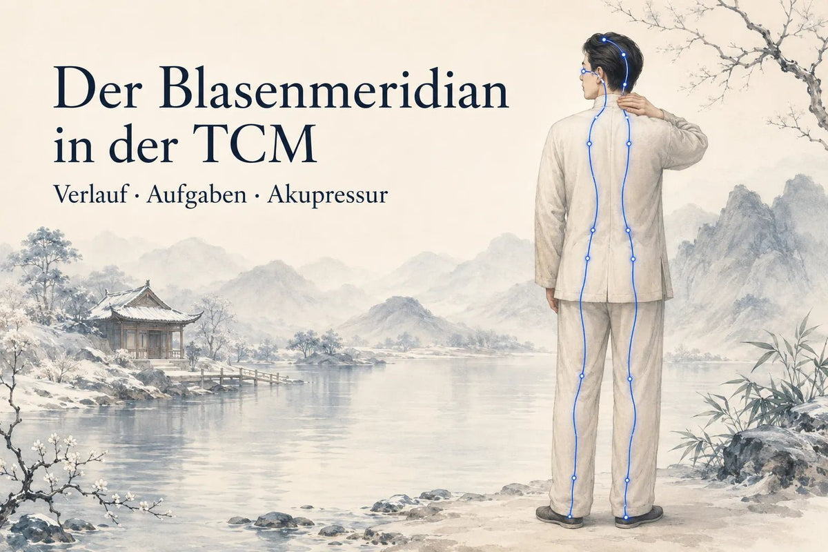 Der Blasenmeridian in der TCM: Verlauf, Aufgaben und Akupressur