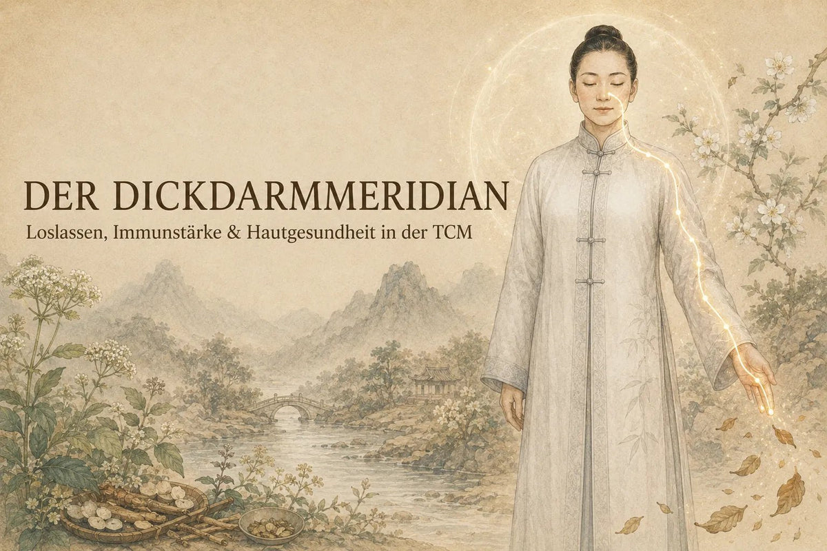 Der Dickdarmmeridian: Loslassen, Immunstärke & Hautgesundheit in der TCM