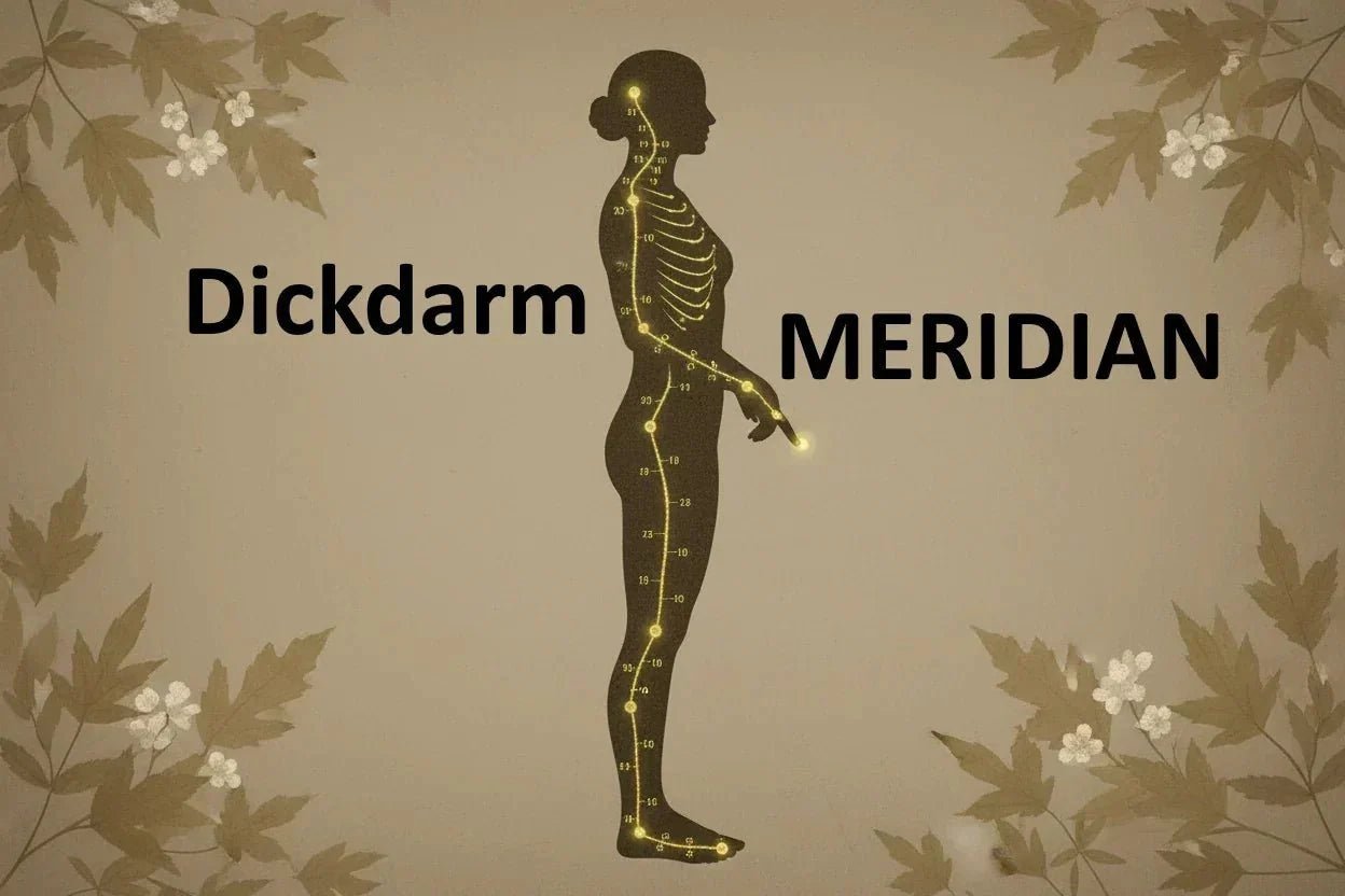 Der Dickdarmmeridian: Loslassen, Immunstärke & Hautgesundheit in der TCM