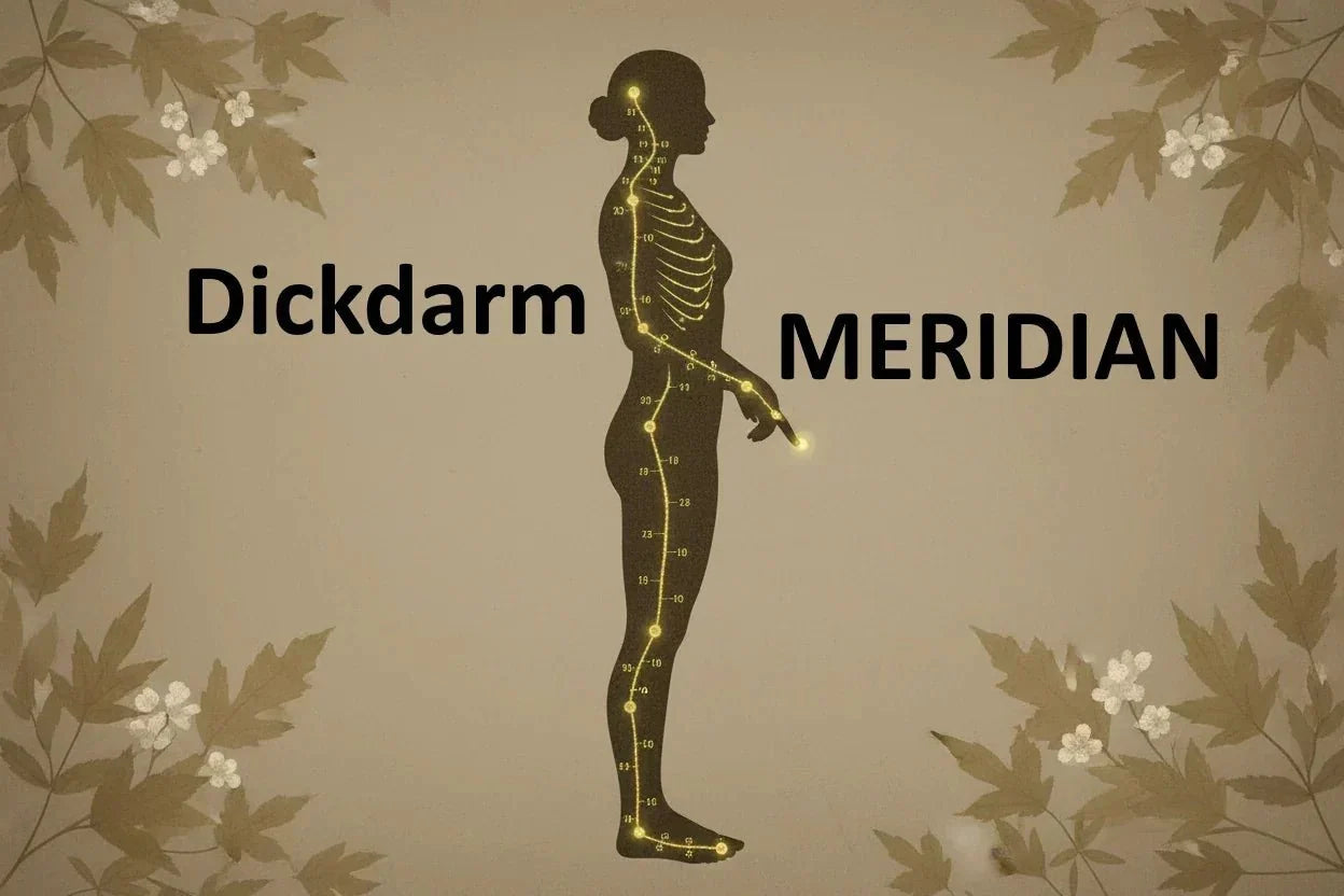 Der Dickdarmmeridian: Loslassen, Immunstärke & Hautgesundheit in der TCM