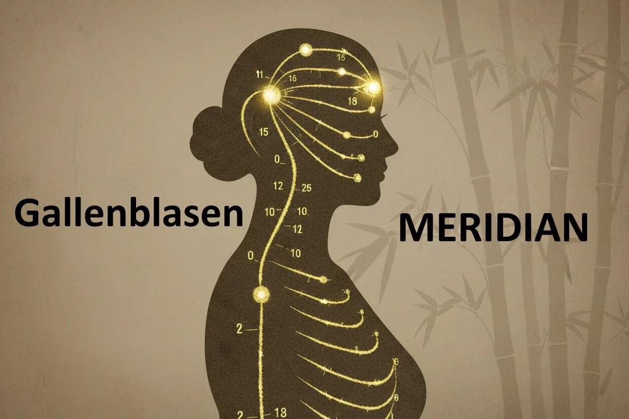 Der Gallenblasenmeridian: Energie, Entscheidungskraft & Wohlbefinden in der TCM