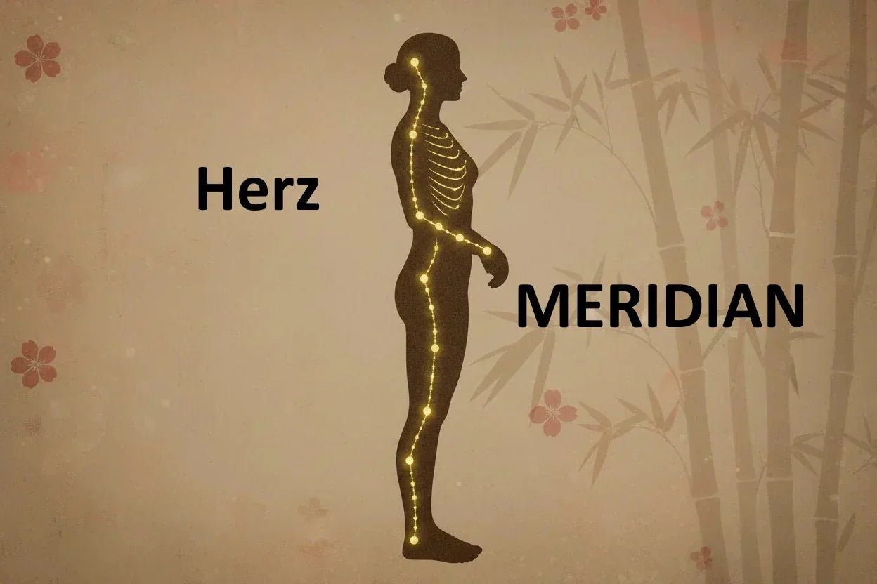 Der Herzmeridian: Shen, Blut & die Kraft der Freude in der TCM
