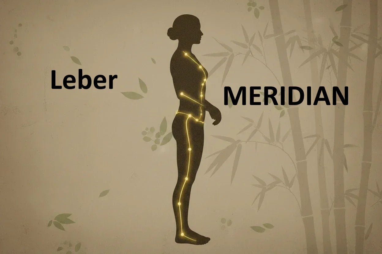 Der Lebermeridian: Qi, Emotionen & Vitalität in der TCM