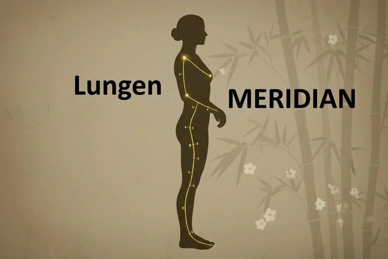 Der Lungenmeridian: Qi aufnehmen, Abwehrkraft stärken & loslassen in der TCM
