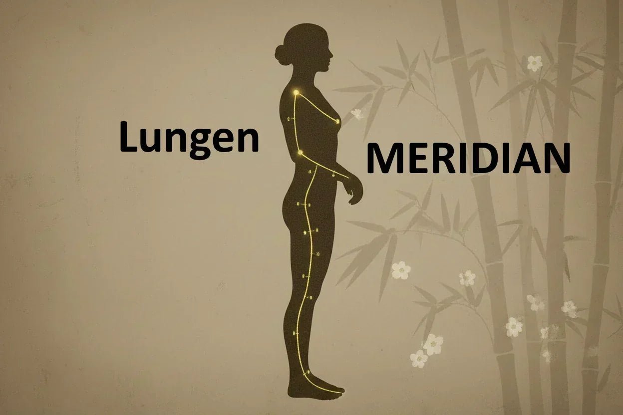 Der Lungenmeridian: Qi aufnehmen, Abwehrkraft stärken & loslassen in der TCM