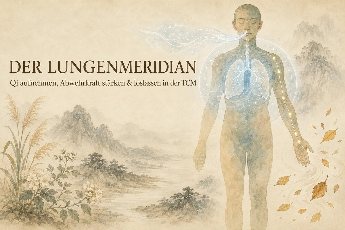 Der Lungenmeridian: Qi aufnehmen, Abwehrkraft stärken & loslassen in der TCM