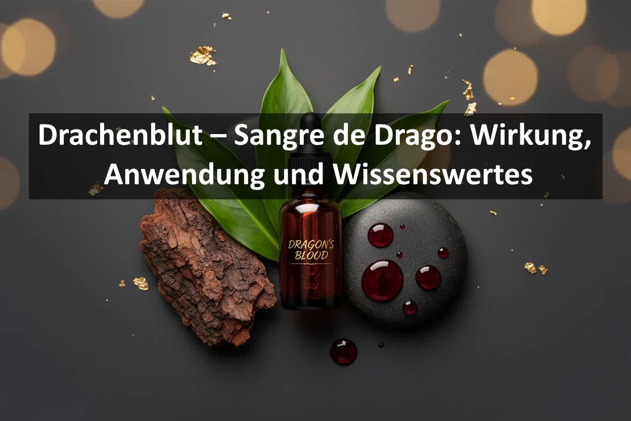Drachenblut – Sangre de Drago: Wirkung, Anwendung und Wissenswertes