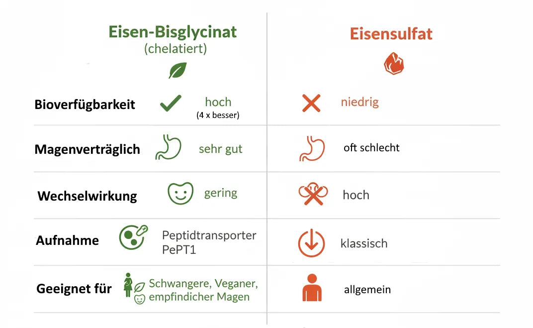 Eisen-Bisglycinat vs. Eisensulfat: Was ist der Unterschied und welches ist besser?