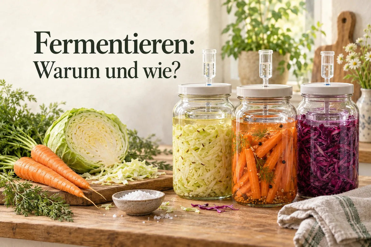Fermentieren: Warum und wie?