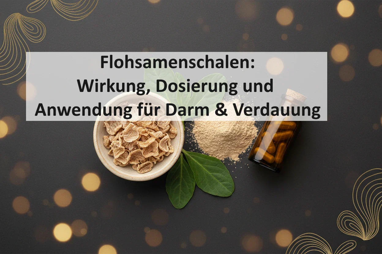 Flohsamenschalen: Wirkung, Dosierung und Anwendung für Darm & Verdauung