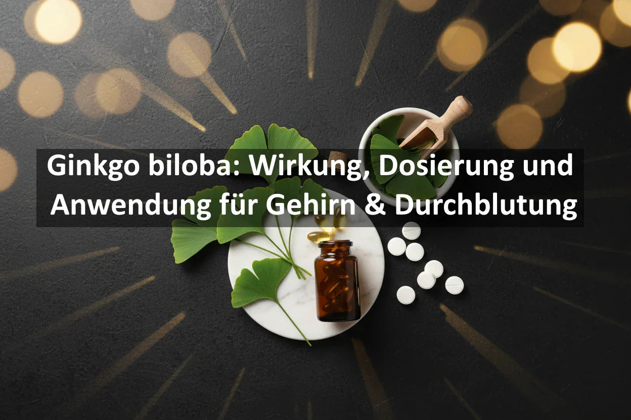 Ginkgo biloba: Wirkung, Dosierung und Anwendung für Gehirn & Durchblutung