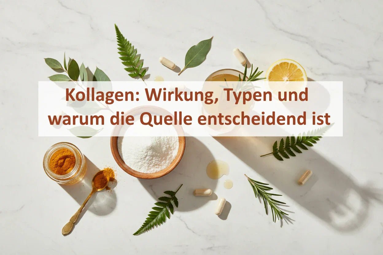 Kollagen: Wirkung, Typen und warum die Quelle entscheidend ist - Kornkammer Natur