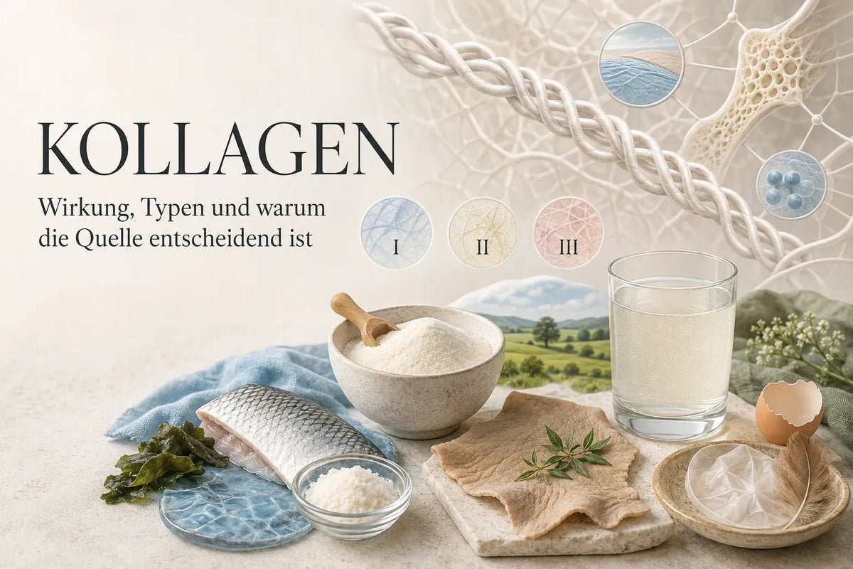 Kollagen: Wirkung, Typen und warum die Quelle entscheidend ist
