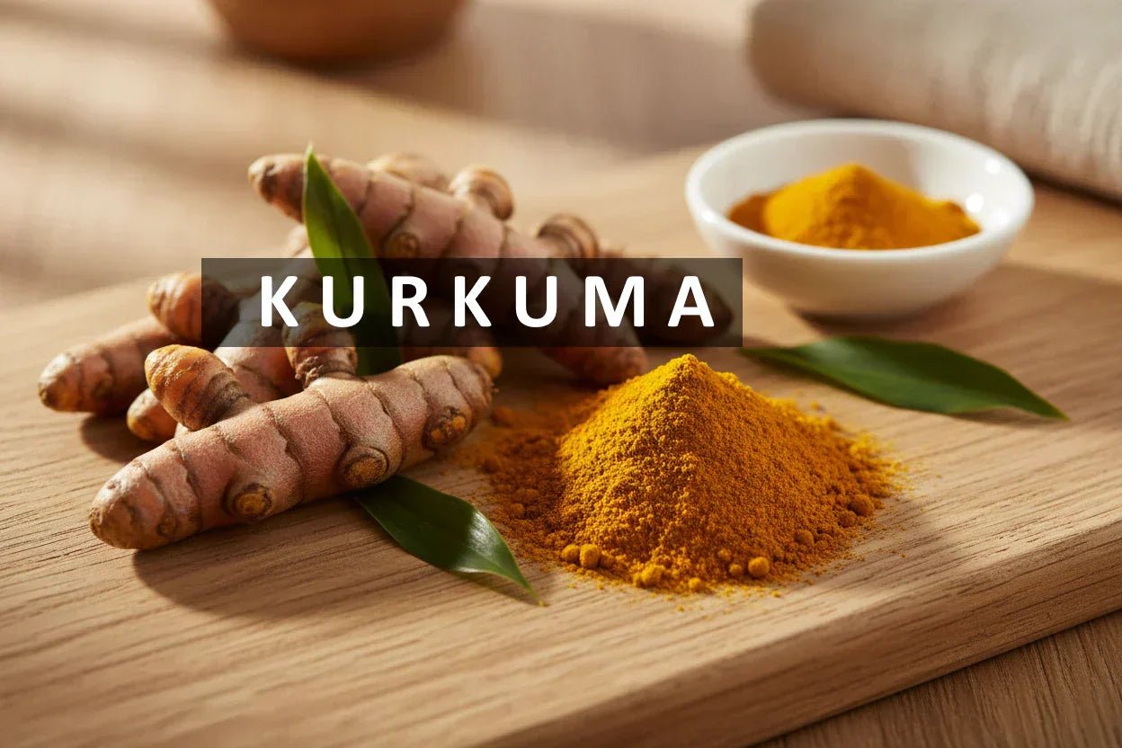 Kurkuma: Wirkung, Curcumin & Bioverfügbarkeit – was du wissen solltest