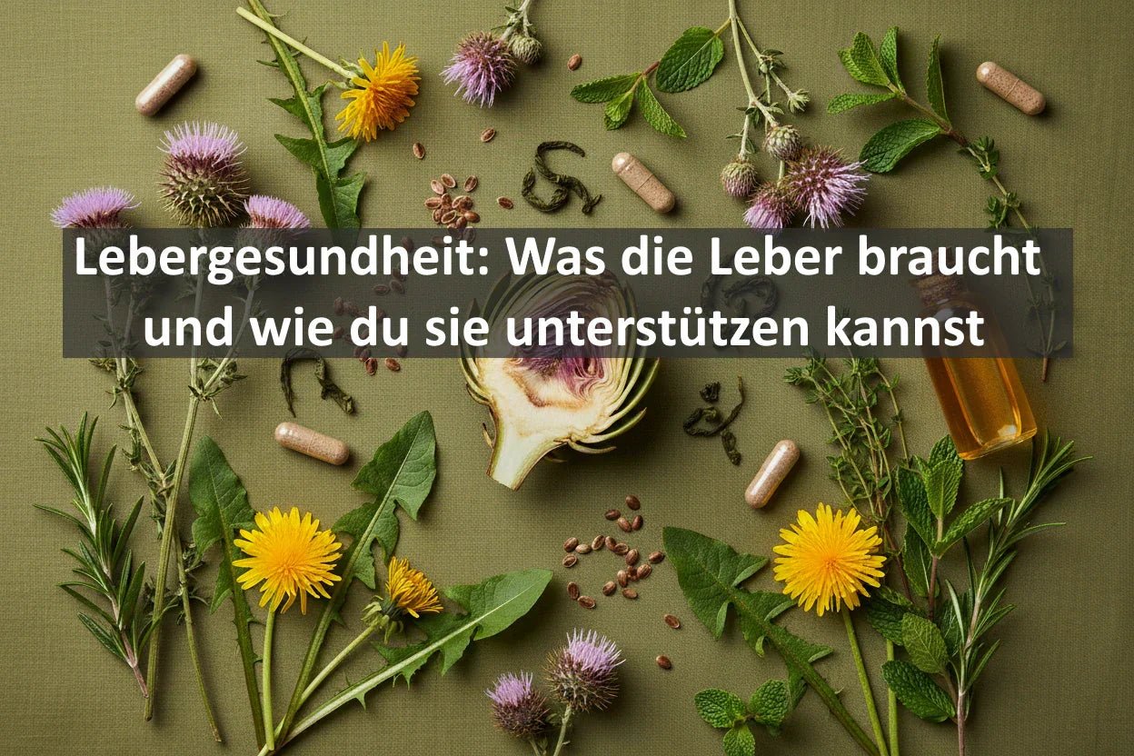 Lebergesundheit: Was die Leber braucht und wie du sie unterstützen kannst - Kornkammer Natur