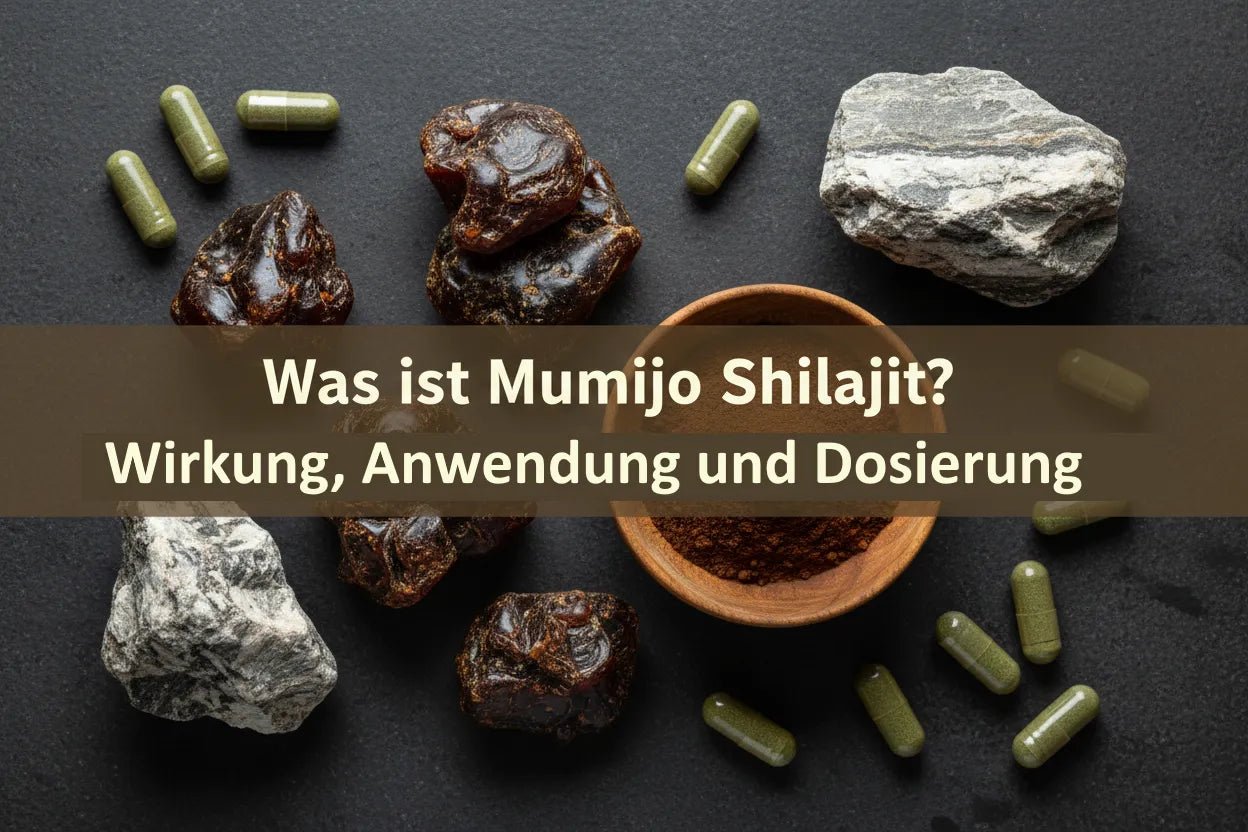 Was ist Mumijo Shilajit? Wirkung, Anwendung und Dosierung - Kornkammer Natur