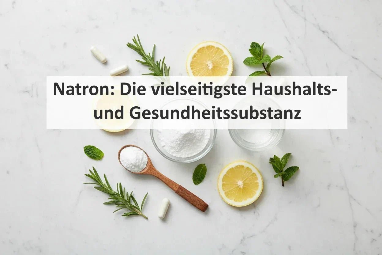 Natron: Die vielseitigste Haushalts- und Gesundheitssubstanz - Kornkammer Natur