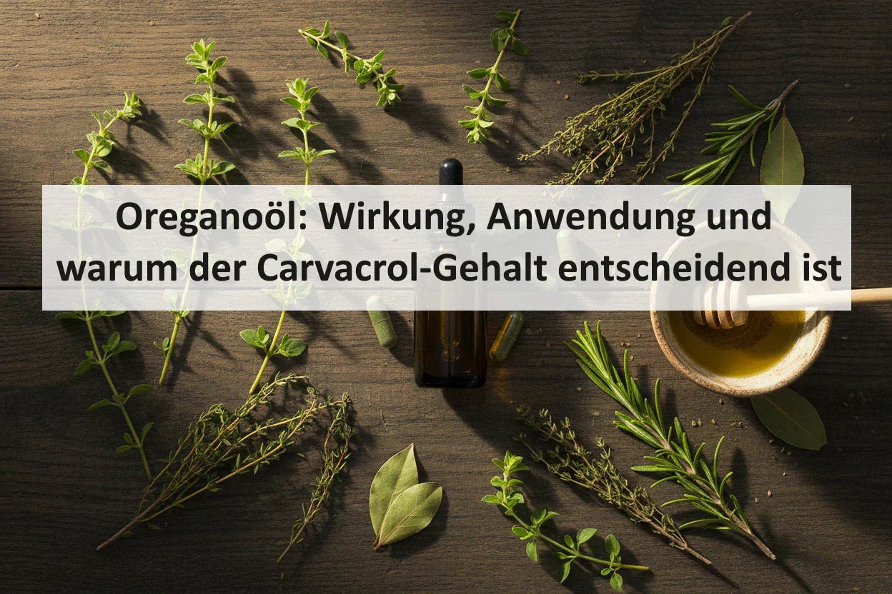 Oreganoöl: Wirkung, Anwendung und warum der Carvacrol-Gehalt entscheidend ist