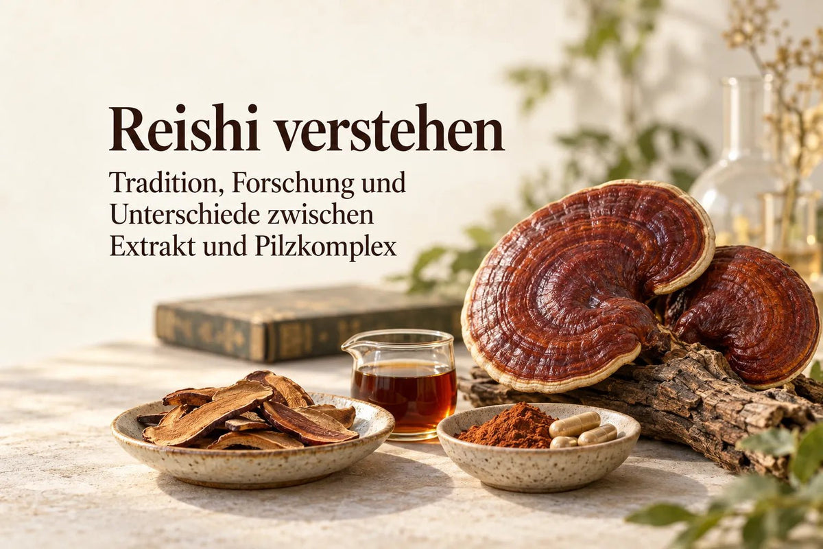 Reishi verstehen: Tradition, Forschung und Unterschiede zwischen Extrakt und Pilzkomplex