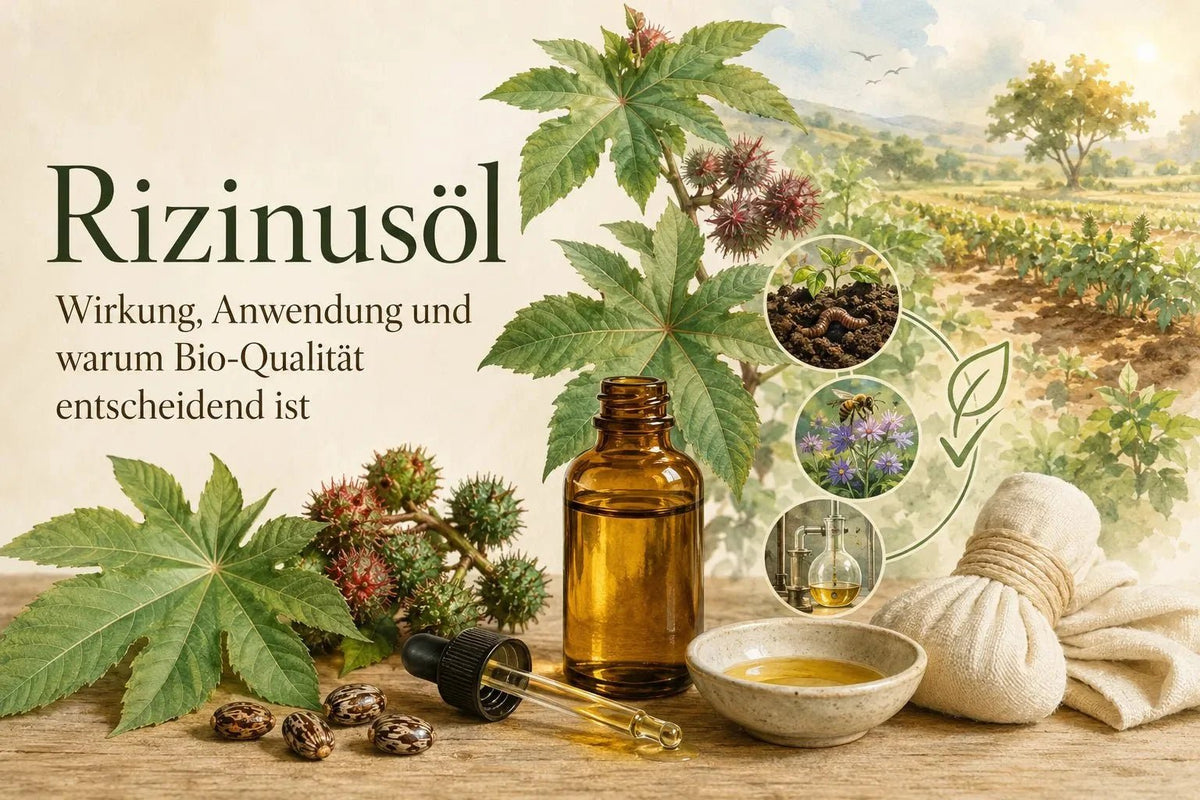 Rizinusöl: Wirkung, Anwendung und warum Bio-Qualität entscheidend ist