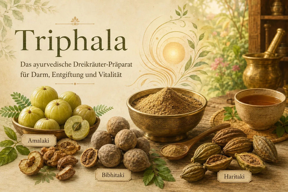 Triphala: Das ayurvedische Dreikräuter-Präparat für Darm, Entgiftung und Vitalität