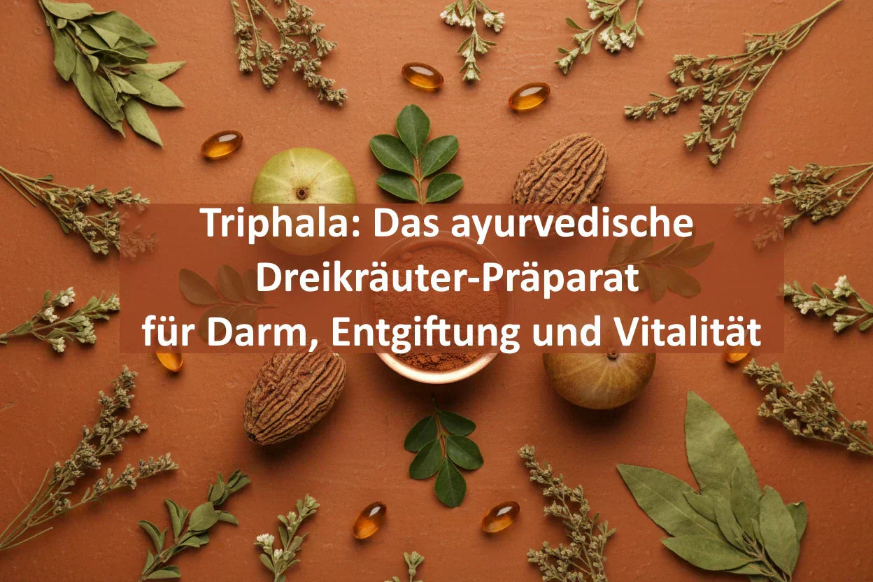 Triphala: Das ayurvedische Dreikräuter-Präparat für Darm, Entgiftung und Vitalität