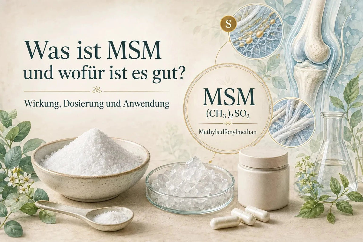Was ist MSM und wofür ist es gut? Wirkung, Dosierung und Anwendung