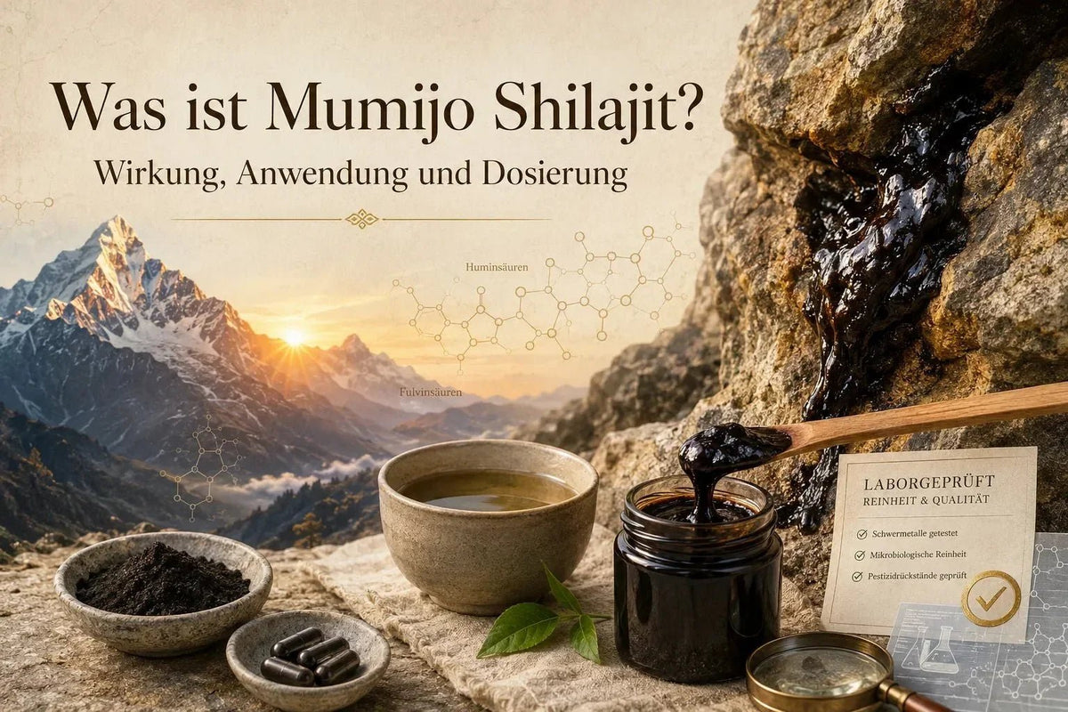 Was ist Mumijo Shilajit? Wirkung, Anwendung und Dosierung