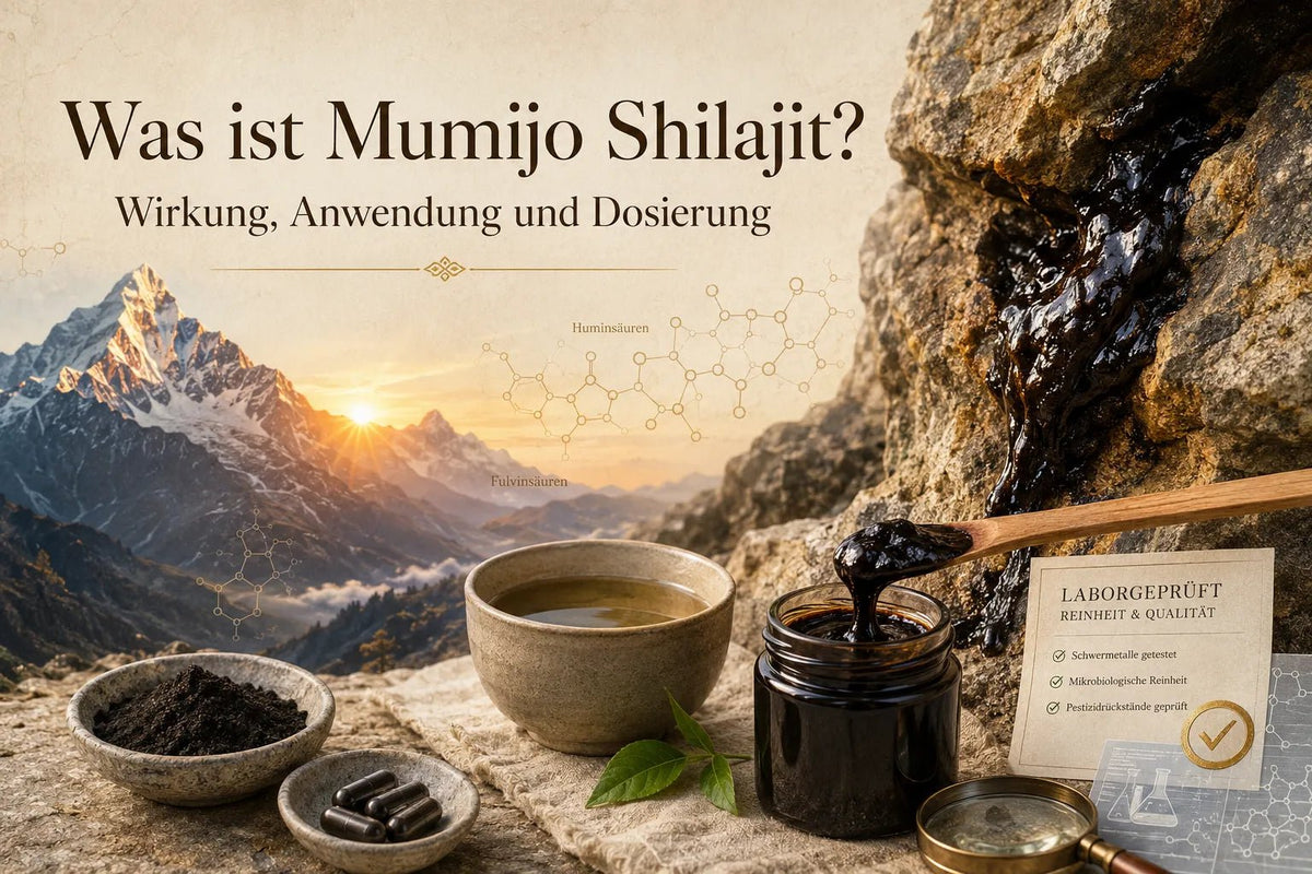 Was ist Mumijo Shilajit? Wirkung, Anwendung und Dosierung