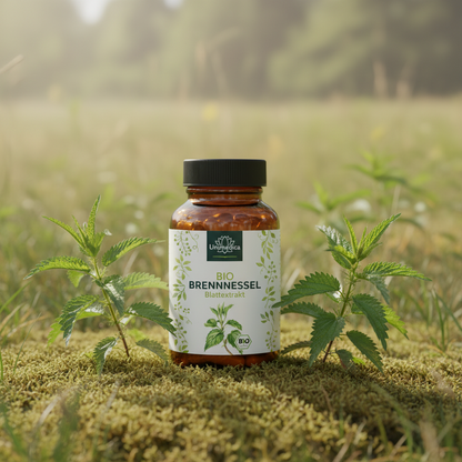Bio Brennnessel - 10:1 Brennnesselblattextrakt - 1000 mg pro Tagesdosis (2 Kapseln) - 180 Kapseln