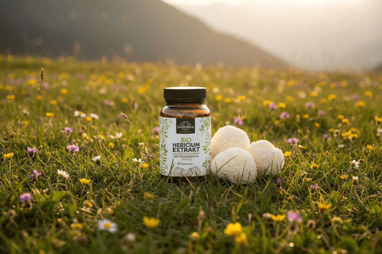 Bio Hericium Extrakt - Löwenmähne - 1000 mg pro Tagesdosis - mit 30 % Polysacchariden Nahrungsergänzung Unimedica Kornkammer