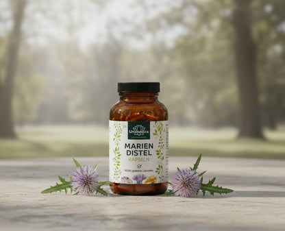 Mariendistel - Komplex für Leber