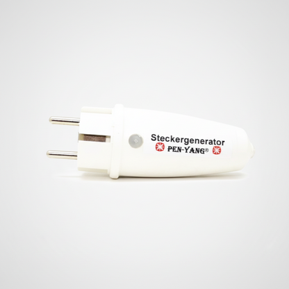 Stecker Generator (PenYang)  Strom Feinstofflich Kornkammer Natur