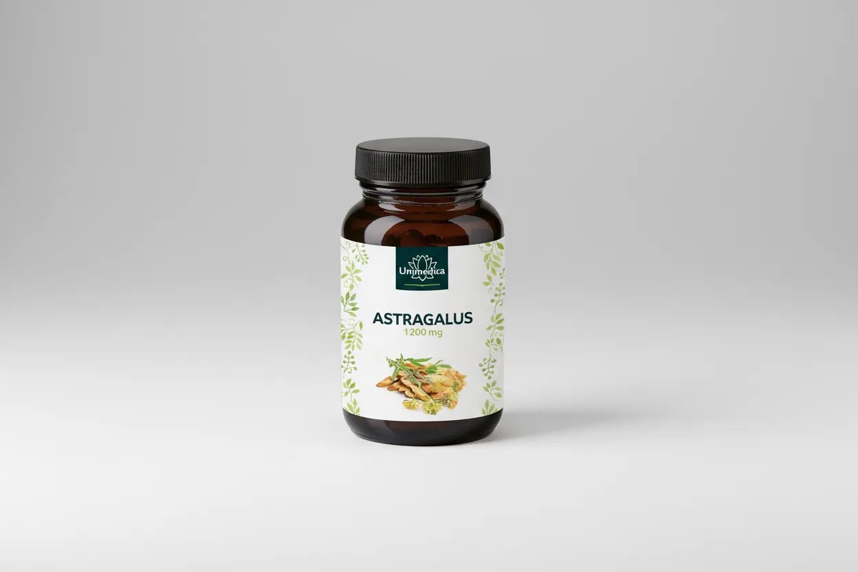 Astragalus - 1.200 mg pro Tagesdosis - 90 Kapseln Studiobild