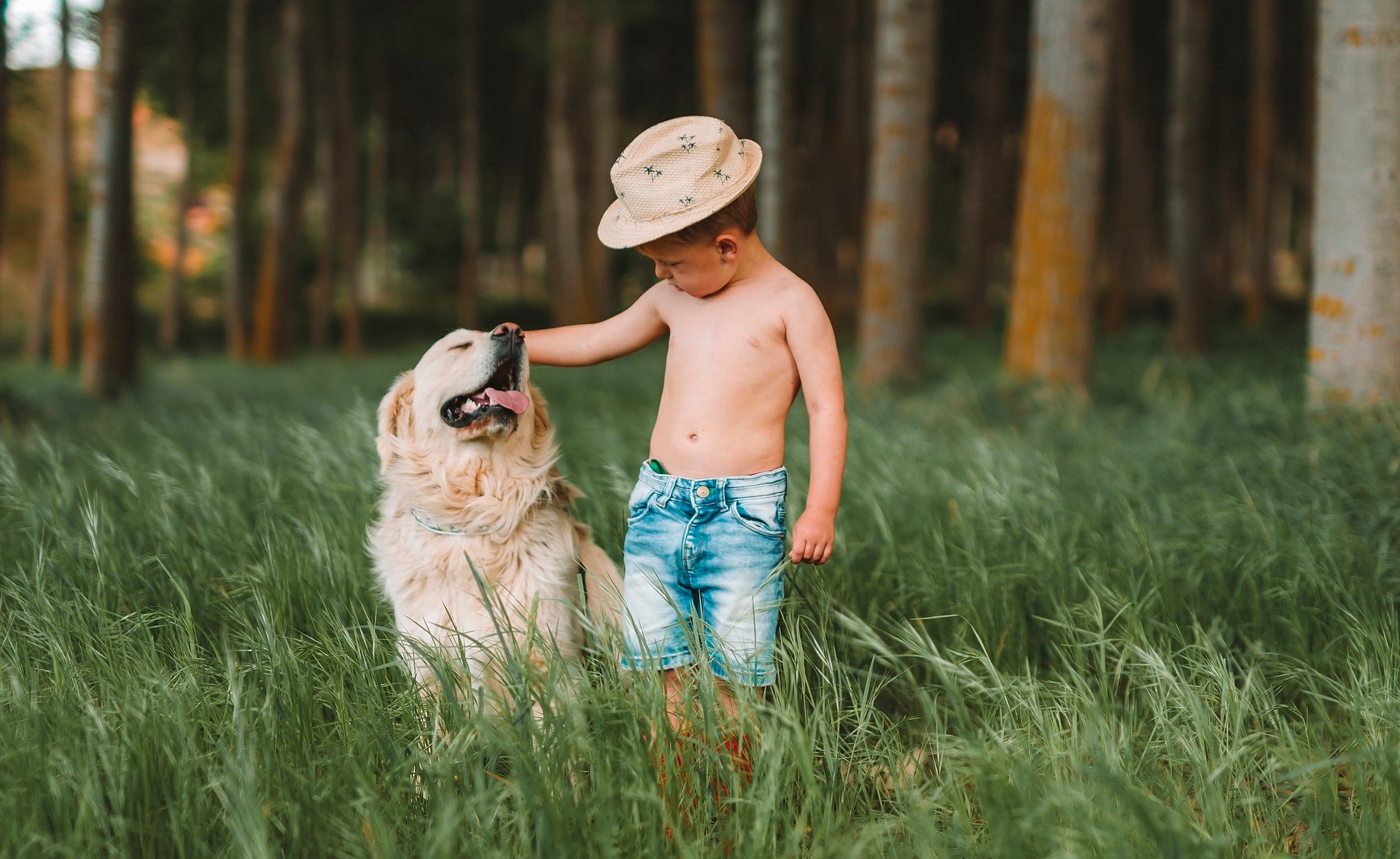 Tiere in der Kornkammer Natur Themengebiet Gesundheit Pflanzen Ernährung