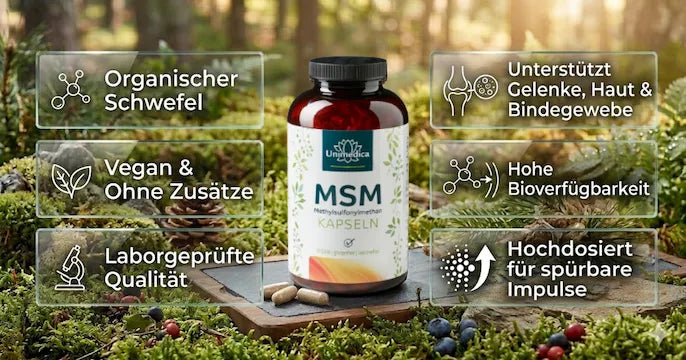 MSM Kapseln - hochdosiert - mit Informationen
