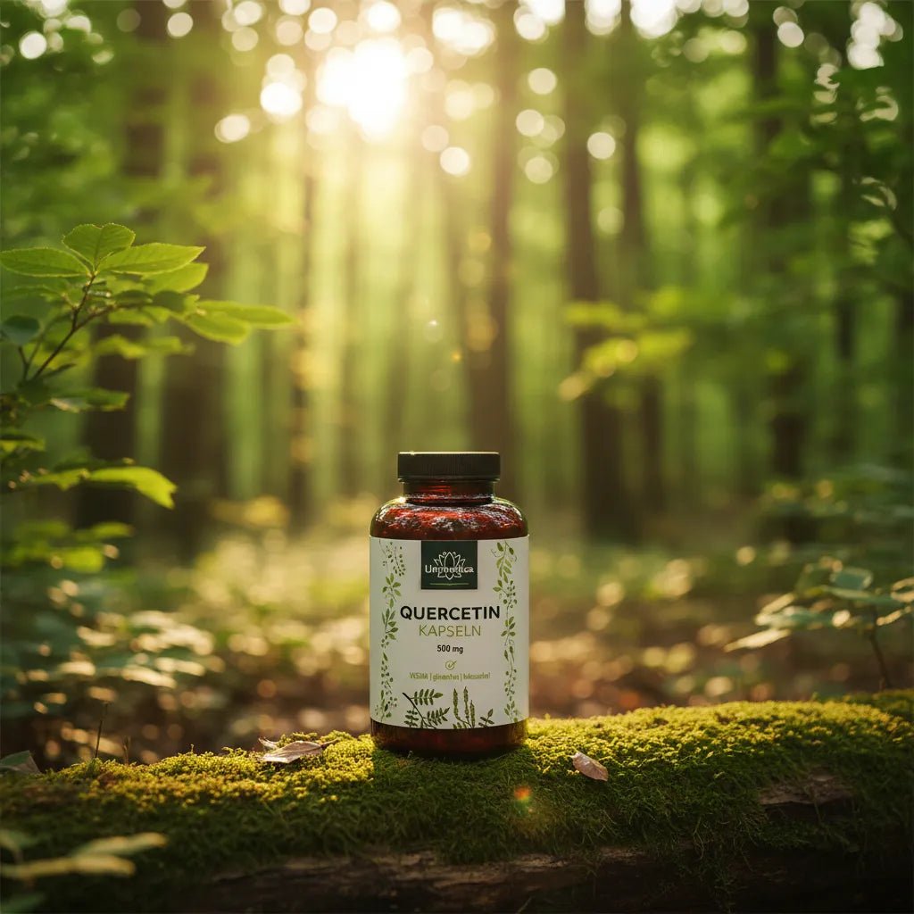 Quercetin - 500 mg pro Tagesdosis - Nahrungsergänzung - Unimedica -Kornkammer Natur - Wald