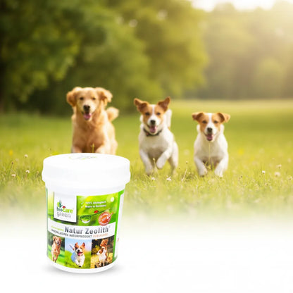 Natur Zeolith für Hunde 500g biocaregreen 100% ökologisch Für gesundes, glänzendes Fell Frei von Zusätzen Unterstützt die Bioverfügbarkeit von Nährstoffen Kornkammer Natur